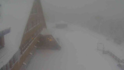 Parkoviště a hlavní vchod