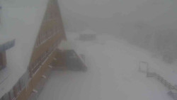 Parkoviště a hlavní vchod