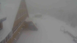 Parkoviště a hlavní vchod