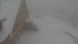 Parkoviště a hlavní vchod