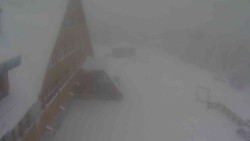 Parkoviště a hlavní vchod