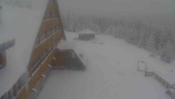 Parkoviště a hlavní vchod