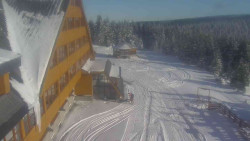 Parkoviště a hlavní vchod