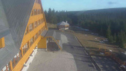 Parkoviště a hlavní vchod