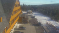 Parkoviště a hlavní vchod