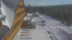 Parkoviště a hlavní vchod