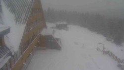 Parkoviště a hlavní vchod