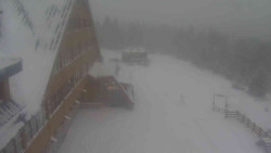 Parkoviště a hlavní vchod