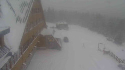 Parkoviště a hlavní vchod