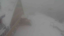 Parkoviště a hlavní vchod