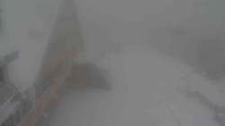 Parkoviště a hlavní vchod