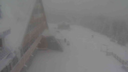 Parkoviště a hlavní vchod