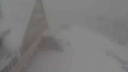 Parkoviště a hlavní vchod