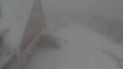 Parkoviště a hlavní vchod