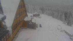 Parkoviště a hlavní vchod