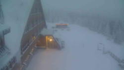 Parkoviště a hlavní vchod