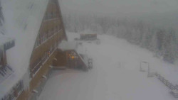 Parkoviště a hlavní vchod