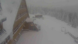 Parkoviště a hlavní vchod