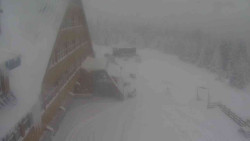 Parkoviště a hlavní vchod