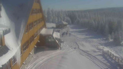 Parkoviště a hlavní vchod