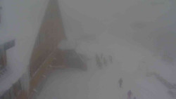 Parkoviště a hlavní vchod