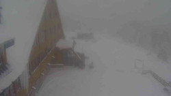 Parkoviště a hlavní vchod