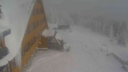 Parkoviště a hlavní vchod