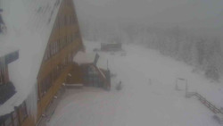 Parkoviště a hlavní vchod