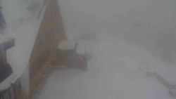 Parkoviště a hlavní vchod