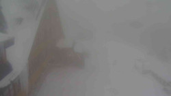 Parkoviště a hlavní vchod