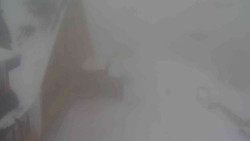 Parkoviště a hlavní vchod