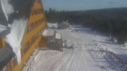 Parkoviště a hlavní vchod