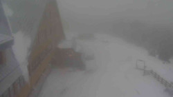 Parkoviště a hlavní vchod