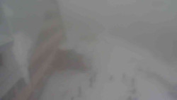 Parkoviště a hlavní vchod