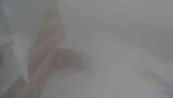 Parkoviště a hlavní vchod