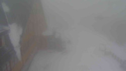 Parkoviště a hlavní vchod