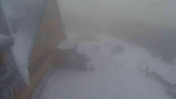 Parkoviště a hlavní vchod