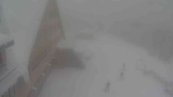 Parkoviště a hlavní vchod