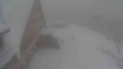 Parkoviště a hlavní vchod