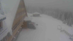 Parkoviště a hlavní vchod