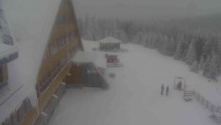 Parkoviště a hlavní vchod