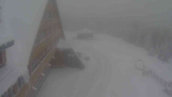 Parkoviště a hlavní vchod