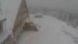 Parkoviště a hlavní vchod