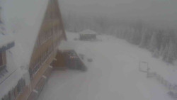 Parkoviště a hlavní vchod