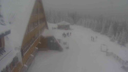 Parkoviště a hlavní vchod