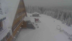 Parkoviště a hlavní vchod