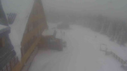 Parkoviště a hlavní vchod