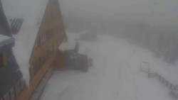 Parkoviště a hlavní vchod