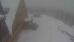 Parkoviště a hlavní vchod