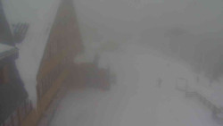 Parkoviště a hlavní vchod